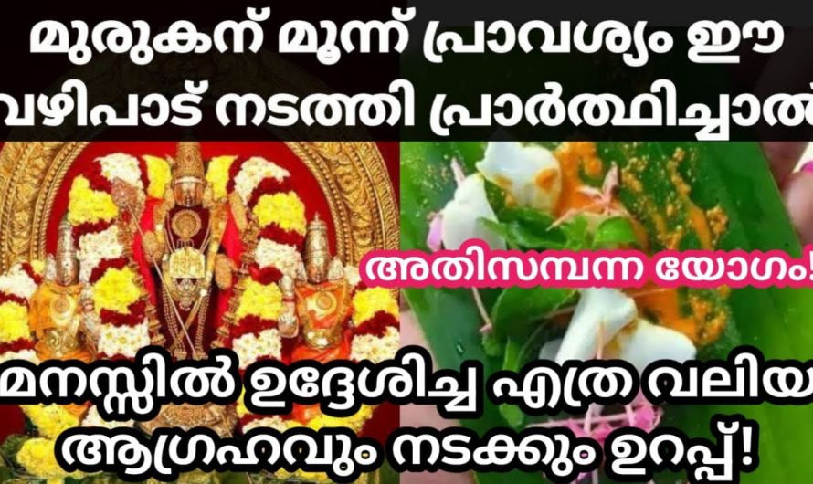 മനസ്സിൽ ഉദ്ദേശിച്ച എത്ര വലിയ ആഗ്രഹവും നടക്കും മുരുകന് 3 പ്രാവശ്യം ഈ വഴിപാട് നടത്തി പ്രാർത്ഥിച്ചാൽ