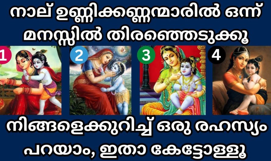 നിങ്ങളെക്കുറിച്ചു ഒരു രഹസ്യം പറയാം 4 ഉണ്ണിക്കണ്ണന്മാരിൽ ഒന്ന് തിരഞ്ഞെടുക്കൂ