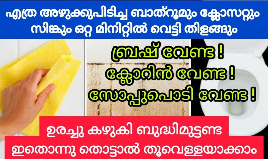 ഒറ്റ മിനിറ്റിൽ എത്ര അഴുക്കുപിടിച്ച ബാത്റും ടൈലും, ക്ലോസറ്റും പുതുപുത്തനാക്കാം