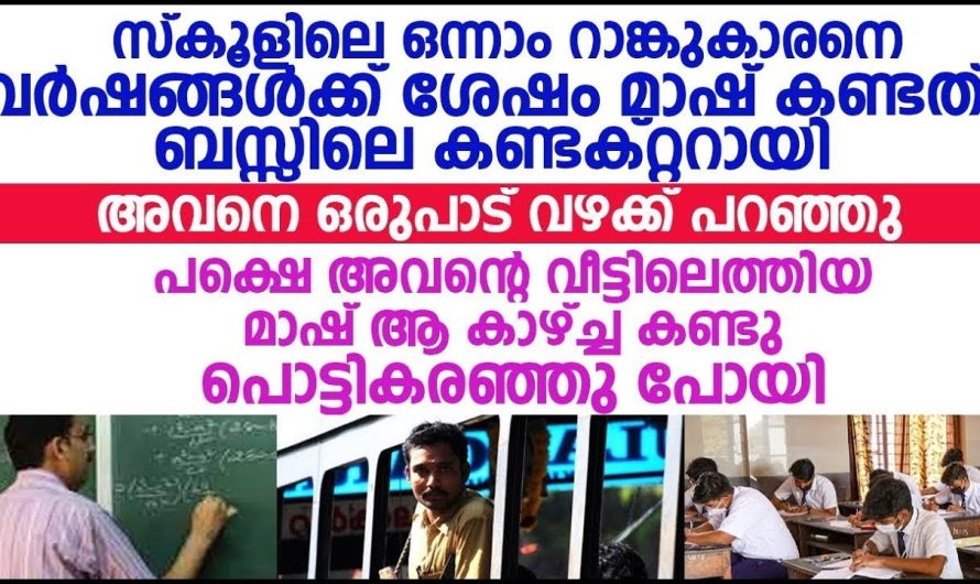 സ്കൂളിലെ ഒന്നാം റാങ്കുകാരൻ അവന്റെ പ്രിയപ്പെട്ട മാഷ് അവനെ വീണ്ടും കാണുന്നത് ബസ് കണ്ടക്ടറായി