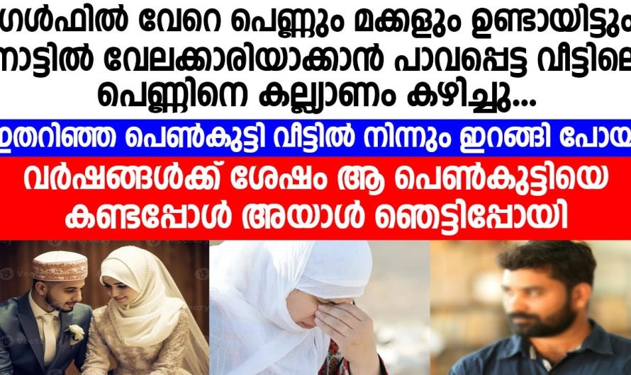 അയാൾ ഞെട്ടിപ്പോയി, വർഷങ്ങൾക്ക് ശേഷം തന്റെ കൂടെ ഇത്രയും കാലം ഉണ്ടായിരുന്ന പെൺകുട്ടി ആരാണെന്ന് അറിഞ്ഞപ്പോൾ