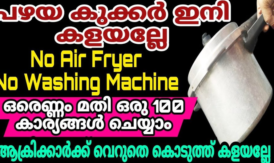 100 കാര്യങ്ങൾ ചെയ്യാം പഴയ കുക്കർ വീട്ടിലുണ്ടോ, അറിയാതെ പോയല്ലോ ഇത്രയും കാലം