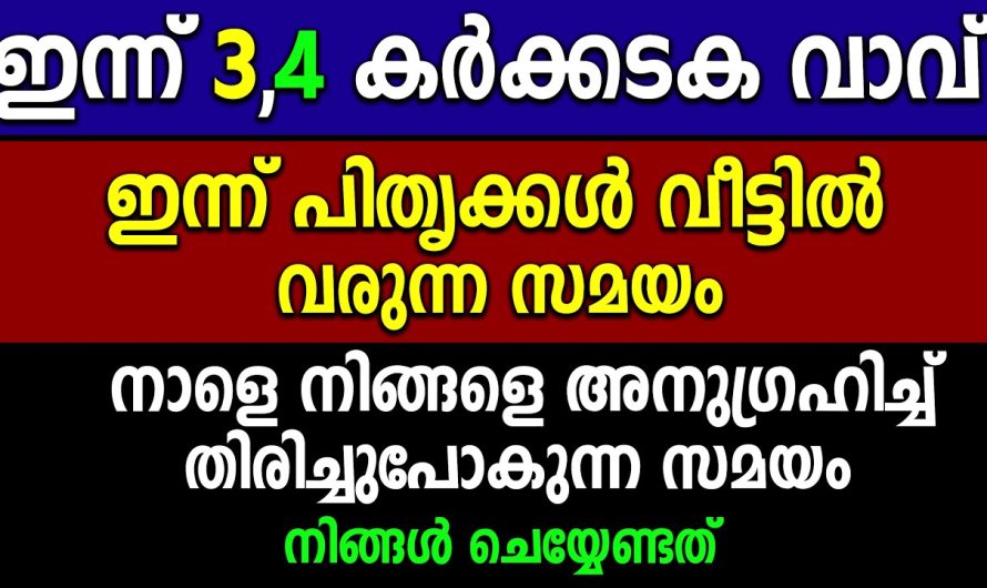 ഇങ്ങനെ ചെയ്യാൻ മറക്കല്ലേ,കറുത്തവാവ് ഇന്ന്,നാളെ വാവ്,പിതൃ അനുഗ്രഹത്തിന്