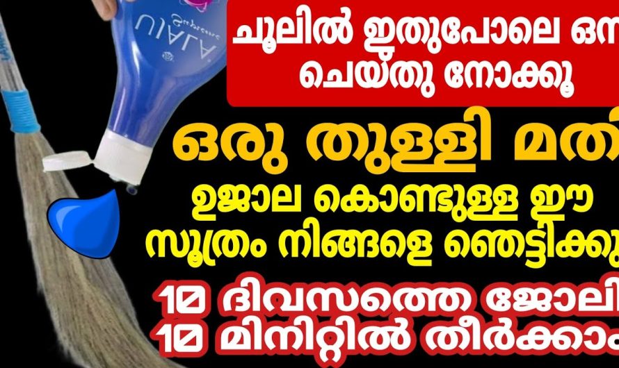 അറിയാതെ പോകല്ലേ, ഒരു തുള്ളി മതി ഉജാലകൊണ്ട് ഇതുപോലെ ഒന്ന് ചെയ്തുനോക്കൂ