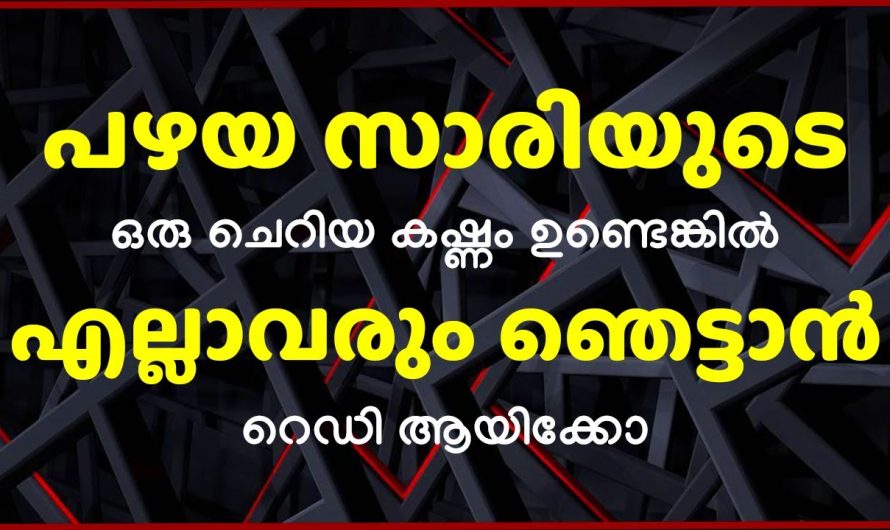 പഴയ സാരിയുടെ ഒരു കഷ്ണം ഉണ്ടെങ്കിൽ  റെഡി ആയിക്കോ എല്ലാവരും ഞെട്ടാൻ