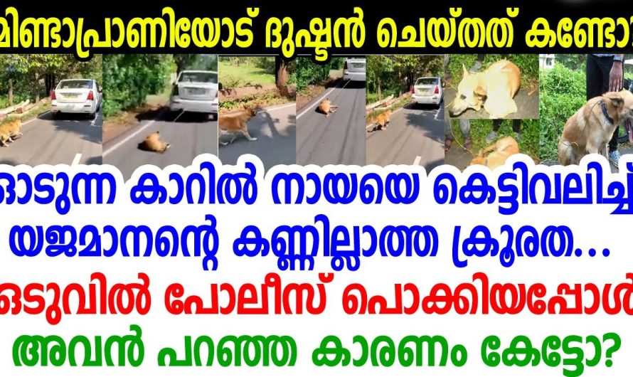 കേരളക്കര കരയുന്നത് ഈ വീഡിയോ കണ്ടാണ്..; ഇത് ചെയ്തവന് ഒരിക്കലും ഗതികിട്ടില്ല..