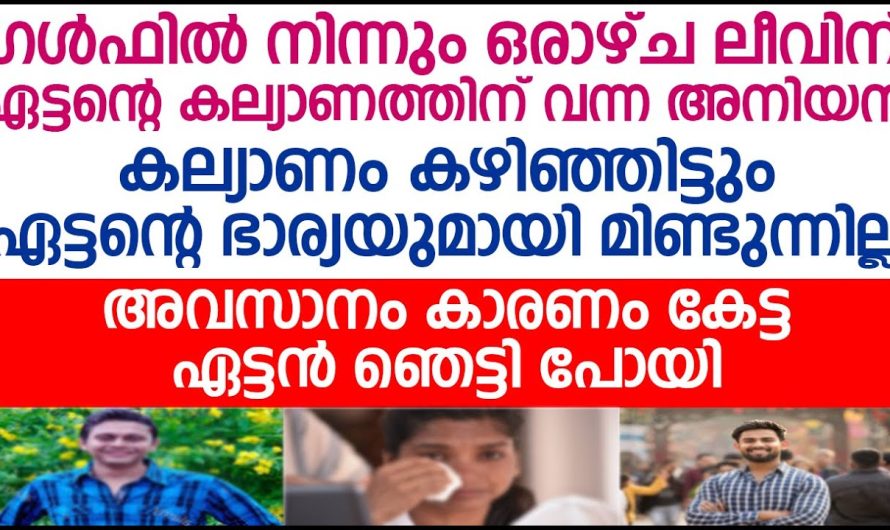 അനിയൻ മിണ്ടുന്നില്ല ഏട്ടന്റെ പുതിയ ഭാര്യയുമായി ; അവസാനം കാരണം കേട്ട ഏട്ടൻ ഞെട്ടി പോയി