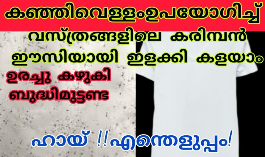 വസ്ത്രങ്ങളിലെ കരിമ്പൻ കളഞ്ഞ്, പകരം വെട്ടി തിളങ്ങാൻ ഇതുമാത്രം മതി