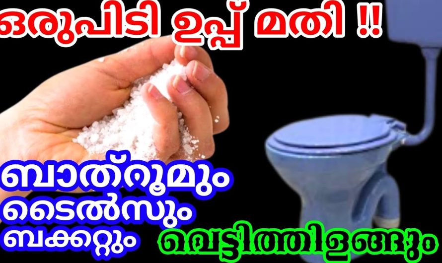 മഞ്ഞകറപിടിച്ച ബക്കറ്റും ടൈൽസും, വെറും ഉപ്പുകൊണ്ട്  ബാത്‌റൂമുംവരെ വെട്ടിതിളങ്ങും