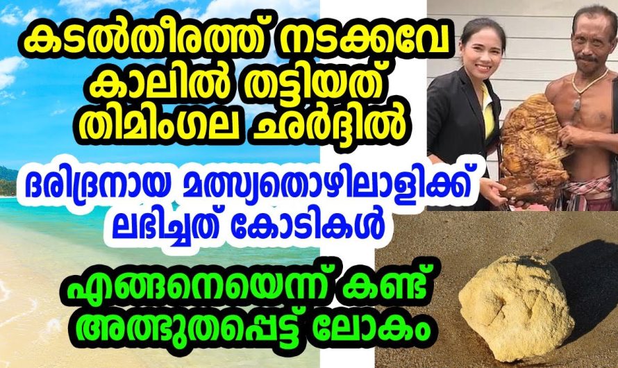 മീന്‍കാരനു കിട്ടിയതു കോടികള്‍, വെറുപ്പു തോന്നുന്ന തിമിംഗലഛര്‍ദ്ദിയിലൂടെ