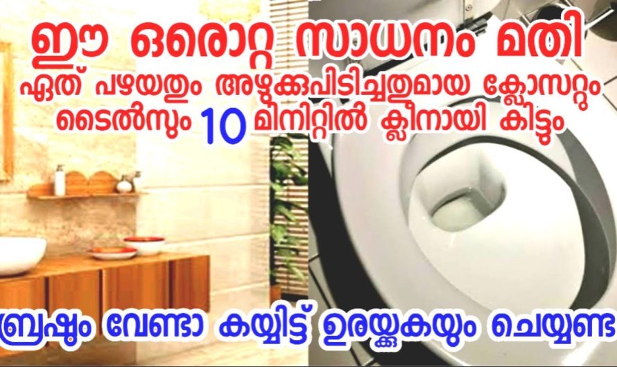 പുതു പുത്തനാക്കാം ബ്രഷ് ഉപയോഗിക്കാതെ ഉരയ്ക്കാതെ ക്ലോസറ്റും ടൈൽസും