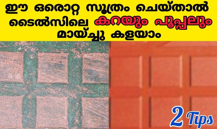 എത്ര പഴകിയ ടൈലായാലും പുത്തനാക്കാം കറയും,പൂപ്പലും കളഞ്ഞ് പുതിയത് പോലെ ആക്കും