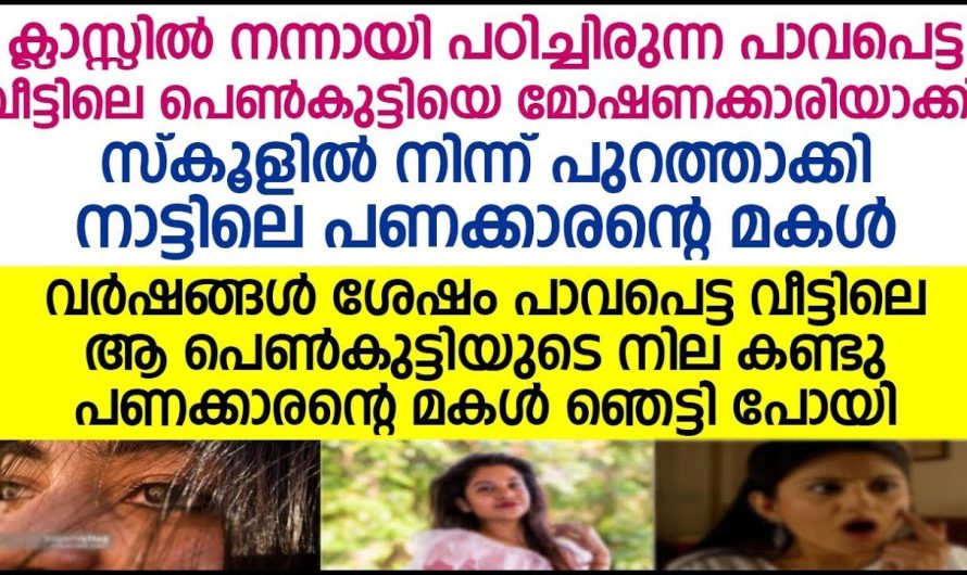 പണക്കാരന്റെ മകൾ ഞെട്ടി പോയി, വർഷങ്ങൾക്ക് ശേഷം പാവപെട്ട വീട്ടിലെ ആ പെണ്ണ് കുട്ടിയെ കണ്ടപ്പോൾ