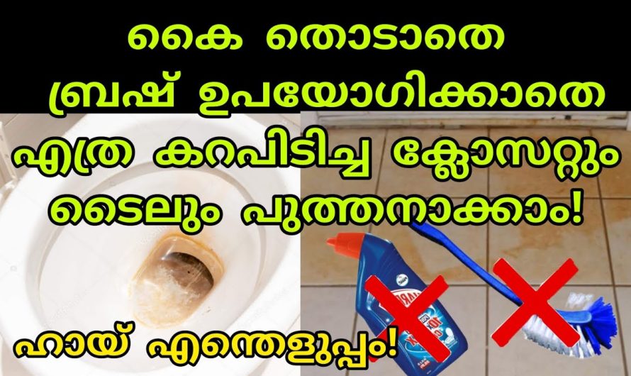 ബ്രഷില്ലാതെ ബാത്ത്റൂം ക്ലോസറ്റും ടൈൽസിലെ കറകളഞ്ഞ് പുത്തനാക്കാം