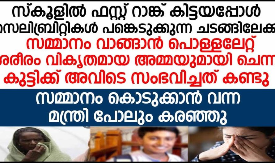 അമ്മയും കൊണ്ട് അവൻ സ്കൂളിലേക്ക് പോയപ്പോൾ അമ്മയ്ക്ക് സംഭവിച്ചത് അറിഞ്ഞ് ആ മന്ത്രി പോലും പൊട്ടിക്കരഞ്ഞു പോയി