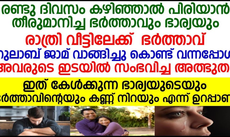 വേർപിരിയാൻ എന്ന ഭാര്യയുടെ മുമ്പിലേക്ക് ഗുലാബ് ജാമുമായി പോയ ഭർത്താവിന് സംഭവിച്ചത് കണ്ടോ