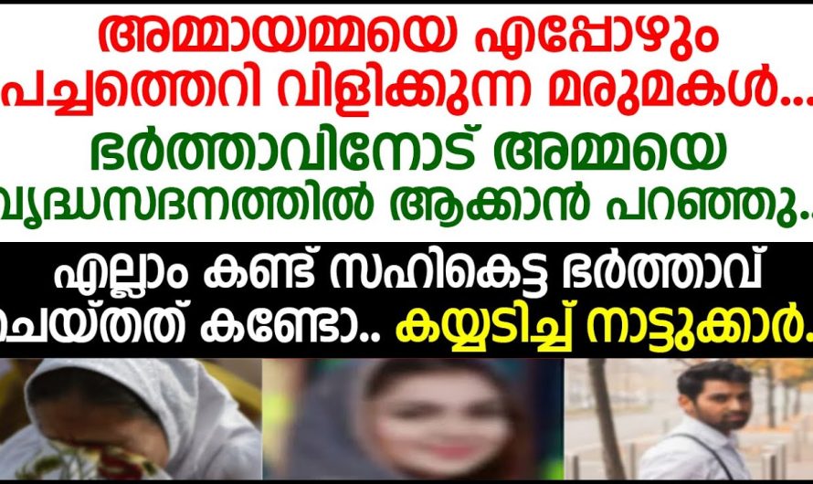 എപ്പോഴും ഉമ്മയെ ചീത്ത പറയുന്ന ഭാര്യയോട് ഭർത്താവ് ചെയ്ത്, കണ്ട് നാട്ടുകാർ കയ്യടിച്ചു