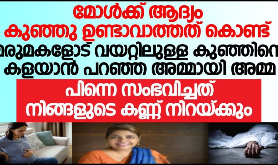 നിങ്ങളും ഒരു അമ്മ തന്നെയല്ലേ എങ്ങനെ തോന്നി മരുമകളുടെ ഇങ്ങനെ ചെയ്യാൻ ആയിട്ട് എന്ന് കോടതി ചോദിച്ചതും ആ അമ്മ പൊട്ടിക്കരഞ്ഞു പോയി