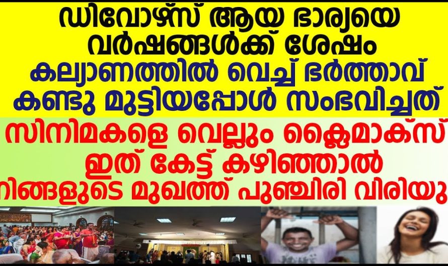 വർഷങ്ങൾക്ക് ശേഷം ഡിവോഴ്‌സ് ആയ ഭാര്യയെ ഭർത്താവ് ഒളിഞ്ഞു നോക്കിയപ്പോൾ അവൾ അത് കണ്ടു പിന്നെ നടന്നത് കണ്ടോ