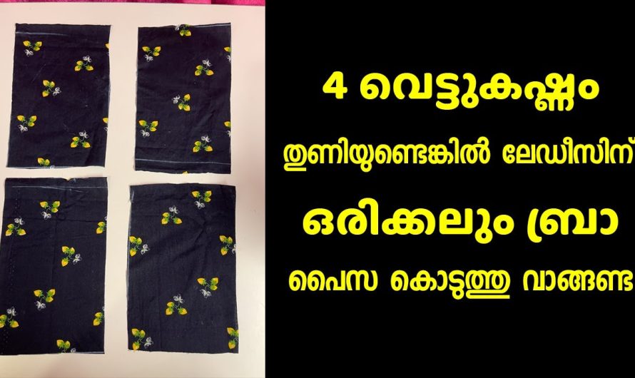 ഒരിക്കലും ബ്രാ 4 വെട്ടുകഷ്ണം തുണിയുണ്ടെങ്കിൽ ലേഡീസിന് പൈസ കൊടുത്തു വാങ്ങണ്ട