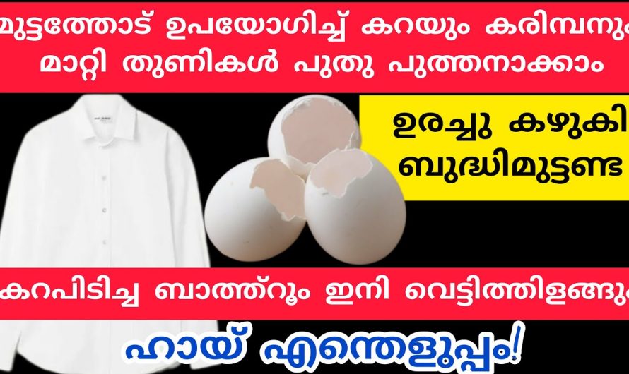 ഇനി മുട്ടത്തോട് മതി വസ്ത്രങ്ങളും ബാത്റൂമും വെട്ടിത്തിളങ്ങാൻ