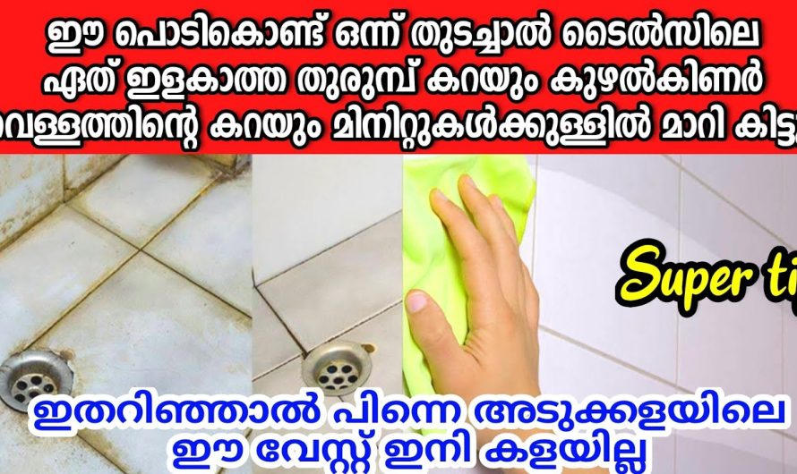 ബാത്റൂമിലേയും ടൈൽസിലെയും ചിലവൊട്ടുമില്ലാതെ എത്ര പഴകിയ കറയും തുരുമ്പും മാറ്റാം