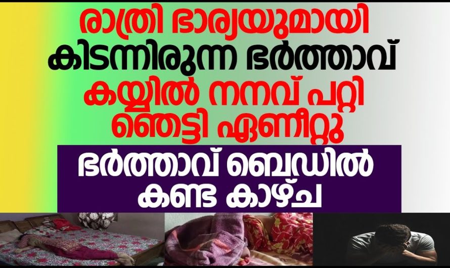 പാതി രാത്രി ഞെട്ടി ഉണർന്ന് ഭർത്താവ് ആ കാഴ്ച കണ്ട് ഞെട്ടിപ്പോയി