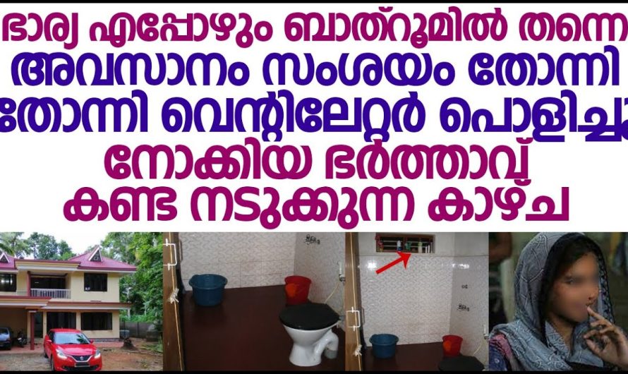 ഞാൻ വരുബോൾ ഭാര്യ ഇപ്പോഴും ബാത്റൂമിൽ തന്നെ, ഒളിഞ്ഞു നോക്കിയ ഭർത്താവ് കണ്ട ഞെട്ടിക്കുന്ന കാഴ്ച