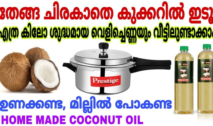 എത്ര കിലോ വെളിച്ചെണ്ണയും വീട്ടിലുണ്ടാക്കിയെടുക്കാം, തേങ്ങ ചിരകാതെ കുക്കറിൽ ഇടൂ