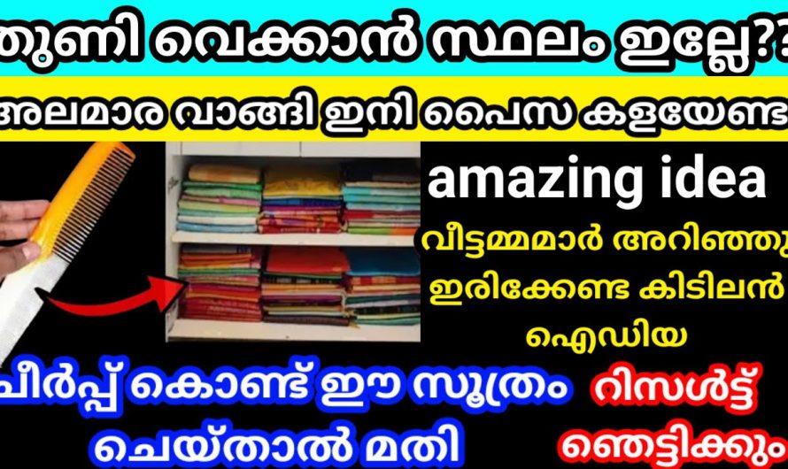 ചീർപ്പ് കൊണ്ട് ഉള്ള സൂത്രം ശെരിക്കും ഞെട്ടിച്ചു, അലമാരയിൽ സ്ഥലം ഇല്ല എന്ന പരാതി ഇനി വേണ്ട