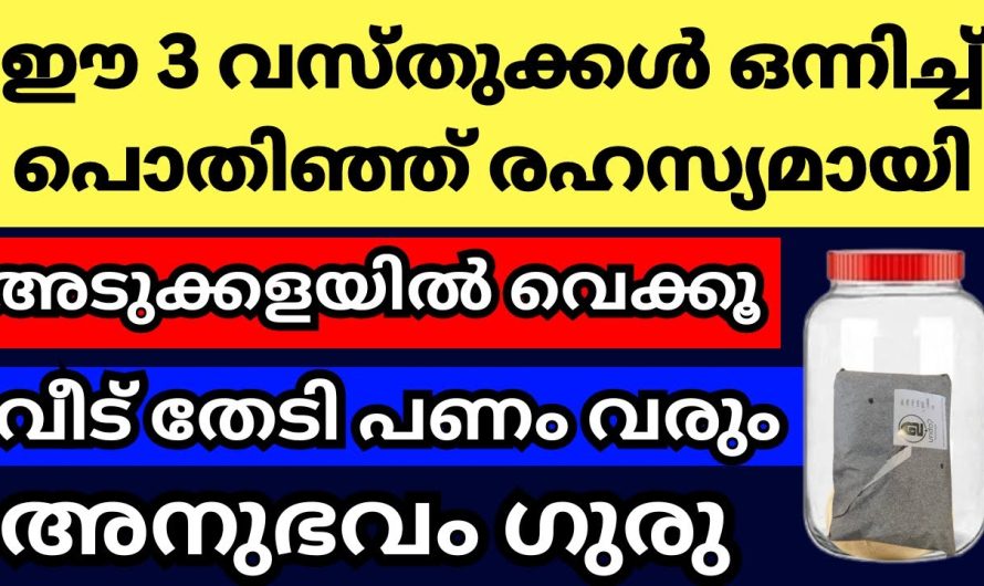 രഹസ്യമായി പൊതിഞ്ഞ് അടുക്കളയിൽ ഈ വസ്തുക്കൾ സൂക്ഷിക്കൂ, സമ്പത്തും പണവും വീട് തേടി വരും