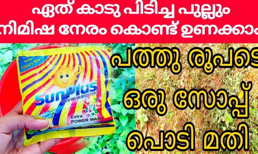 ഏത് പുല്ലും ഉണക്കിഎടുക്കാം പത്തു പൈസ ചിലവില്ലാതെ വീട്ടിലുള്ള ഈ സാധനം കൊണ്ട്