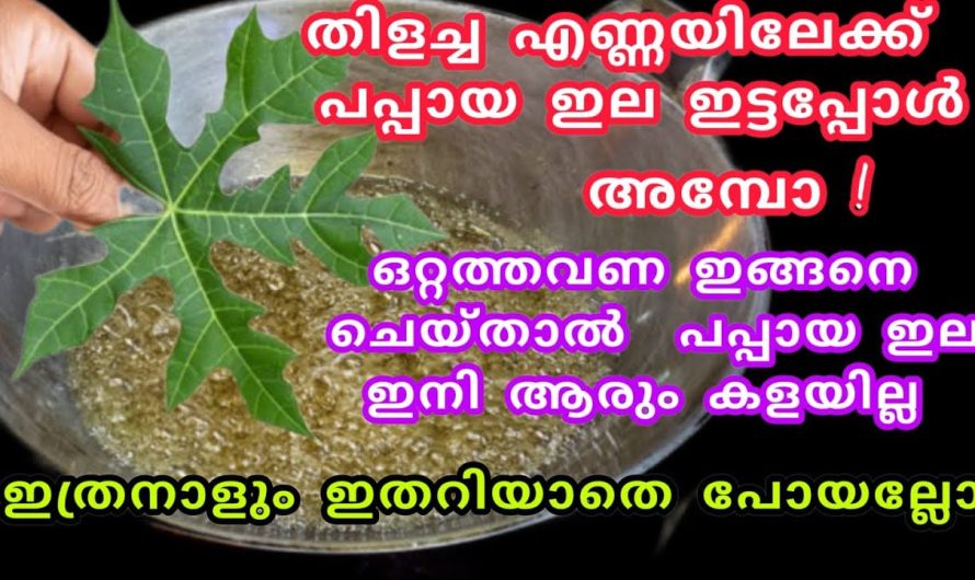 ഈ രഹസ്യങ്ങൾ പപ്പായ ഇല ഉണ്ടായിട്ടും അറിയാതെ പോയല്ലോ