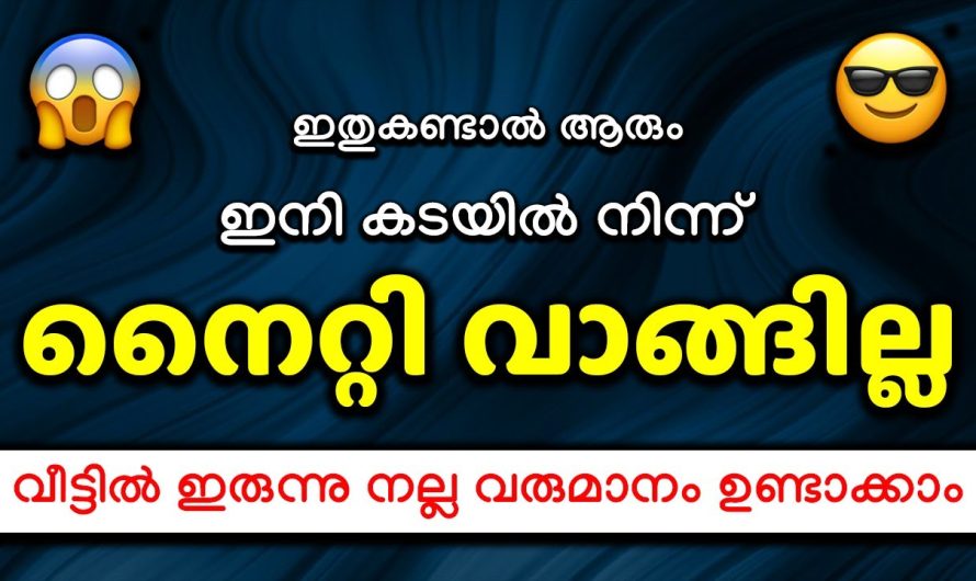 ഇനി കടയിൽ നിന്ന് നൈറ്റി വാങ്ങില്ല ഇതുകണ്ടാൽ ആരും..വീട്ടിൽ ഇരുന്നുതന്നെ വരുമാനം ഉണ്ടാക്കാം