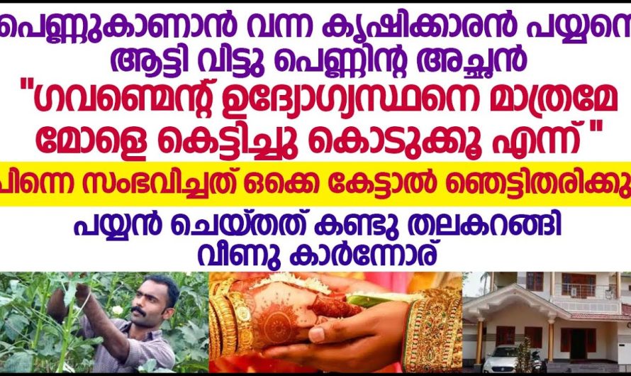 കൃഷിക്കാരൻ പയ്യനെ ആട്ടി വിട്ടു പെണ്ണിന്റ അച്ഛൻ പെണ്ണുകാണാൻ വന്ന കാരണം പിന്നെ സംഭവിച്ചത്