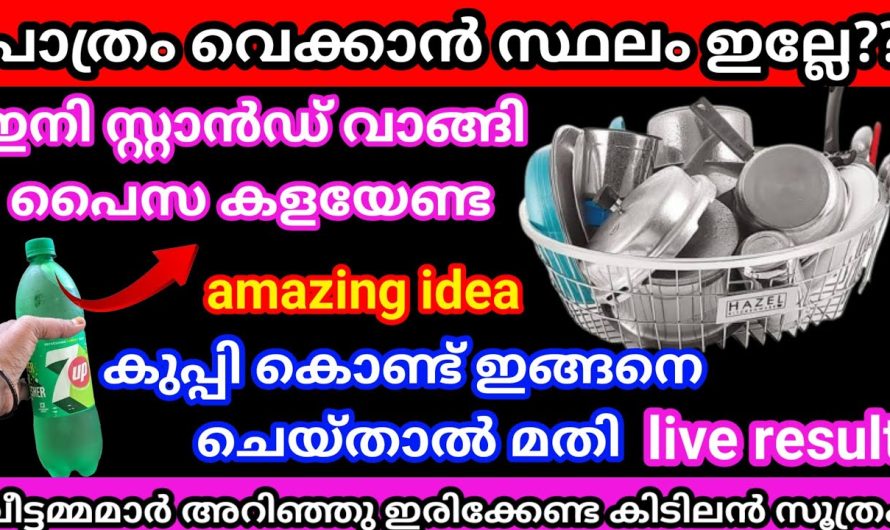 ഇനി എത്ര പാത്രം ഉണ്ടെങ്കിലും എടുത്തു വെക്കാം, കുപ്പി കൊണ്ട് ഈ സൂത്രം ചെയ്തു നോക്കു