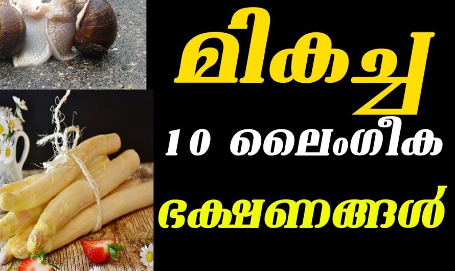 ഇത്തരത്തിൽ ഉള്ള ഭക്ഷണങ്ങളെ കുറിച്ച് കേട്ടിട്ടുണ്ടോ വളരെ വിലപ്പെട്ട ഒരു അറിവ്