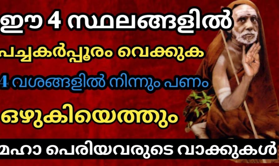 പച്ചക്കർപ്പൂരം സൂക്ഷിക്കുക പണ വശീകരണതിനായി ഈ 4 സ്ഥലങ്ങളിൽ,പണം കടൽ പോലെ ഒഴുകിയെത്തും