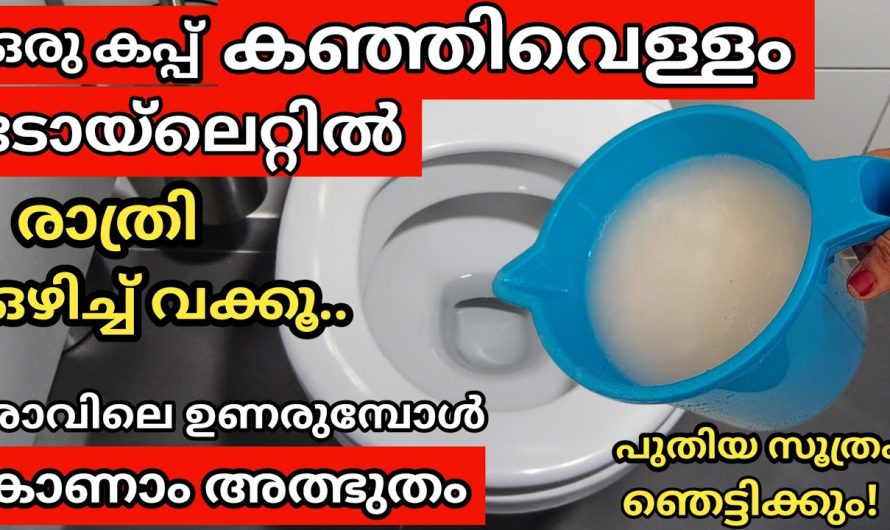 തലേദിവസത്തെ കഞ്ഞിവെള്ളം ഇതുപോലെ ചെയ്തുനോക്കൂ, ടോയ്ലറ്റ് കഴുകാൻ മടിയാണോ?