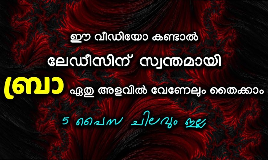 5 പൈസ ചിലവും ഇല്ല ലേഡീസിന് സ്വന്തമായി ബ്രാ,പാന്റീസ് ഏതു അളവിൽ വേണേലും തൈക്കാം