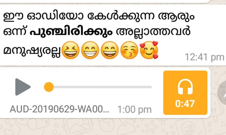 ഇത്ര നന്നായി പാടനാവുമോ?? ഈ പാട്ട് നിങ്ങള്‍ക്ക്