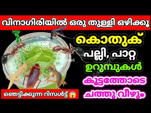 വിനാഗിരിയിൽ ഇതൊരു തുള്ളി ഒഴിക്കൂ ക്‌ളീനിങ് ചേച്ചി പറഞ്ഞ സൂത്രം