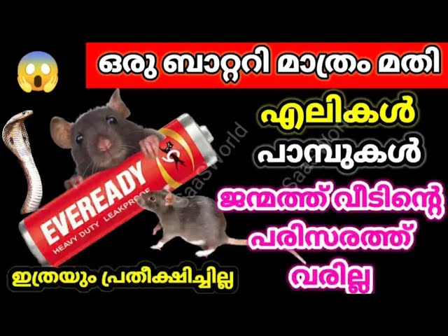 കിടിലൻ സൂത്രം, കേടായ ഒരു ബാറ്ററി മതി എലി, പെരുച്ചാഴി,പാമ്പ് എന്നിവയെ തുരത്താം