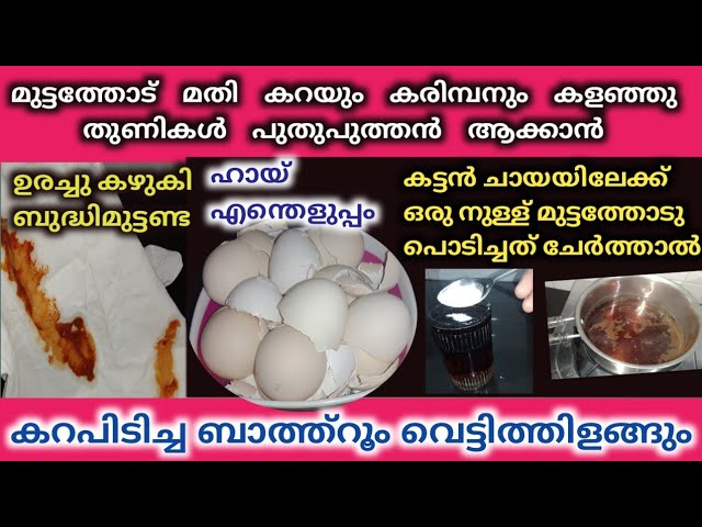 ഇനി ആരും മുട്ടത്തോട് വലിച്ചെറിയേണ്ട. വീട്ടമ്മമാർക്ക്100% ഉപകാരപ്പെടും