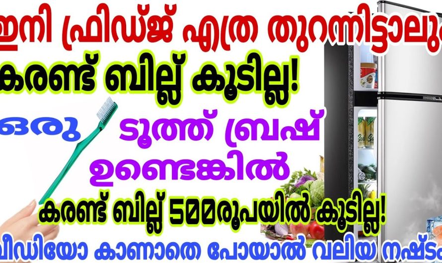 ഇങ്ങനെ ചെയ്തു നോക്കൂ വീട്ടമ്മമാർ അറിയാതെ പോയ രഹസ്യം, കരണ്ട് ബില്ല് ഇനി 500ൽ കൂടില്ല