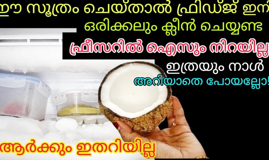 ഇത്രയും നാൾ ഫ്രിഡ്ജ് ഉണ്ടായിട്ടും ഇതറിഞ്ഞില്ലല്ലോ, ഇനി ഒരിക്കലും ഫ്രിഡ്ജ് ക്ലീൻ ചെയ്യണ്ട