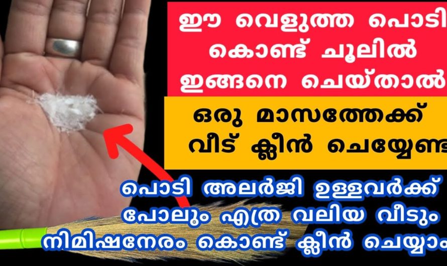 നിങ്ങൾ ഞെട്ടും ഈ വെളുത്ത പൊടികൊണ്ടുള്ള ഉപയോഗങ്ങൾ കണ്ടാൽ തീർച്ചയായും