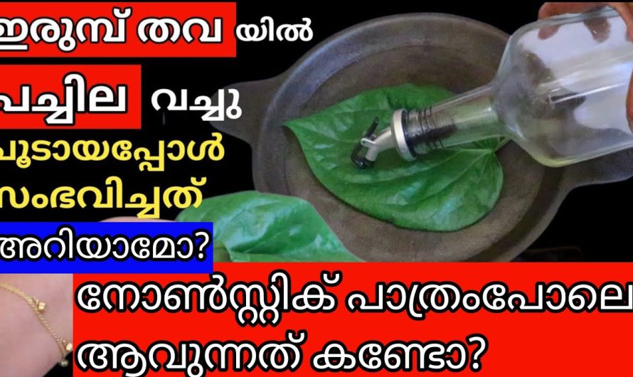 ഇത്ര കരുതിയില്ല മുത്തശ്ശി പറഞ്ഞപ്പോൾ ഇതറിഞ്ഞാൽ, ഇനി ഇരുമ്പ്തവ ഇങ്ങനെയേ ചെയ്യൂ,എന്തെളുപ്പം