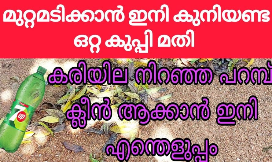 മുറ്റമടിക്കാൻ ഇതുണ്ടെങ്കിൽ ചൂൽ വേണ്ട, കുനിയണ്ട