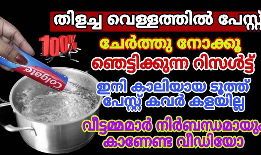 പേസ്റ്റ്ചേർത്ത് നോക്കൂ തിളച്ച വെള്ളത്തിലേക്ക്, ഇന്ന് മുതൽ വീട് മുഴുവൻ വെട്ടിതിളങ്ങും